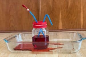 Pumping Heart Model Blood