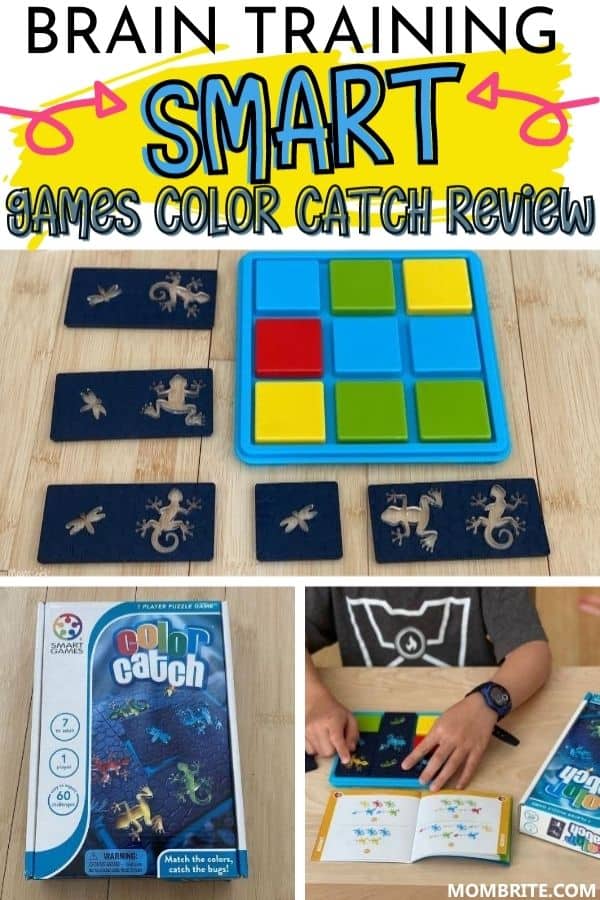 Smart-Games-Color-Catch-Review-Pin