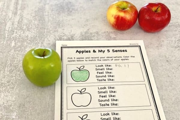 Apple 5 Senses Experiment Example