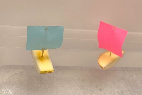 Apple Boat Experiment (3)