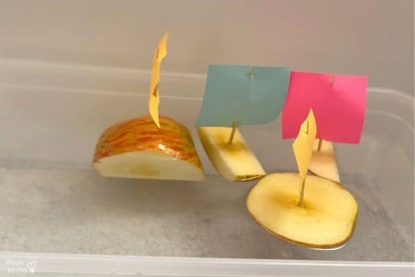 Apple Boat Experiment