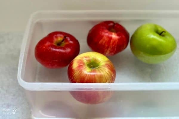 Apple Float or Sink Experiment (2)