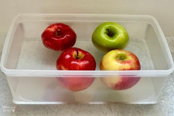 Apple Float or Sink Experiment