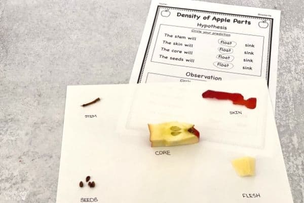 Density of Apple Parts Hypothesis