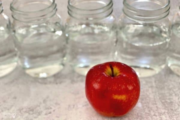 Density of Apple Parts Setup (1)