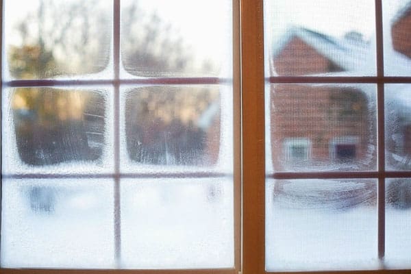 Frosted Windows