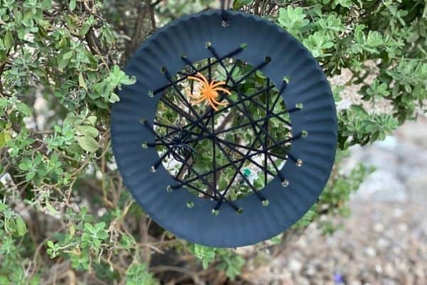 Hanging Paper Plate Spider Web (6)
