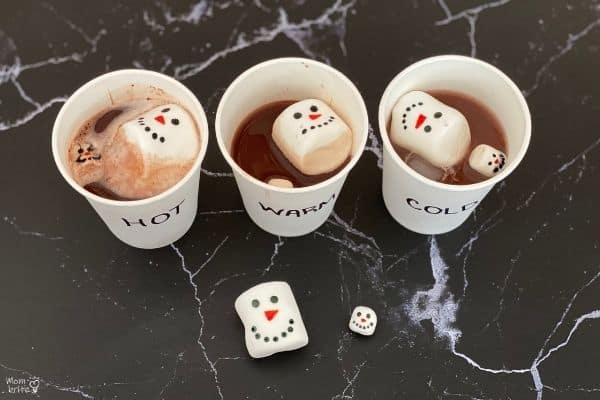 Hot-Cocoa-Marshmallow-Experiment-Melted-1