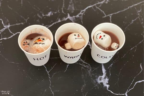 Hot Cocoa Marshmallow Experiment Melted