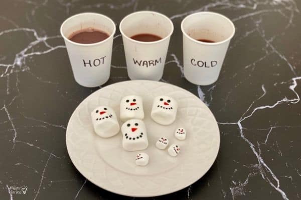 Hot Cocoa Marshmallow Experiment Setup