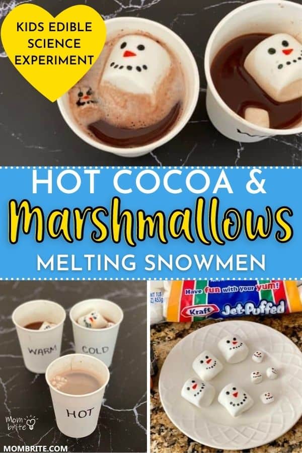 Hot Cocoa and Marshmallows Pin