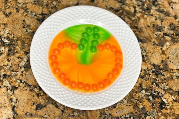 Pumpkin Skittles Experiment (2)