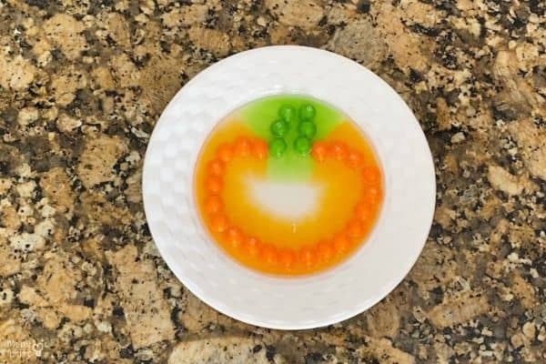 Pumpkin Skittles Experiment (3)