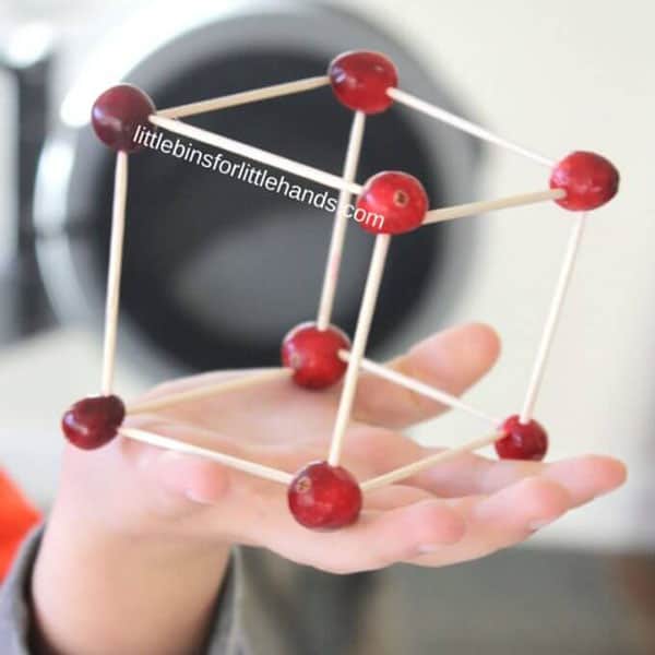 Thanksgiving Cranberry Structures2