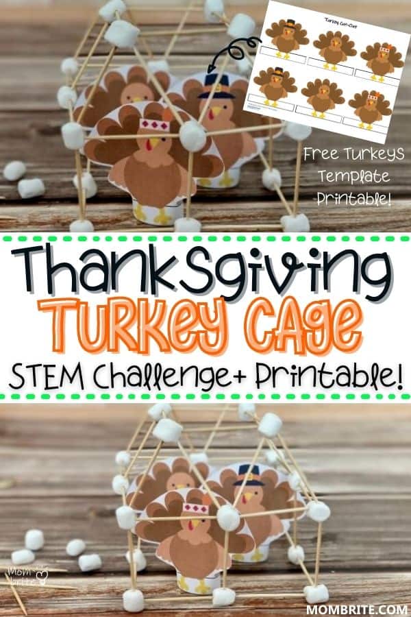 Thanksgiving Turkey Cage Stem Challenge Pin