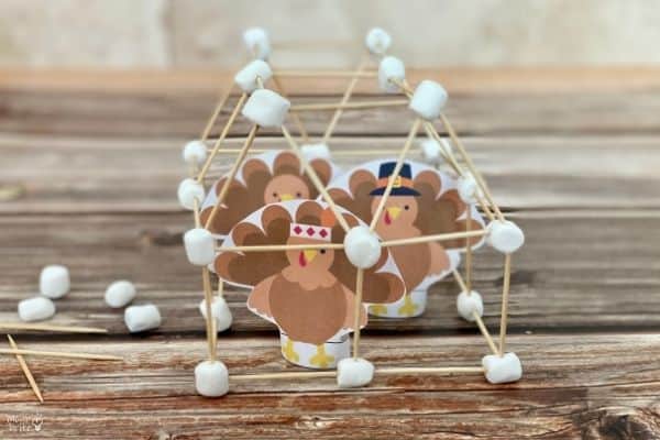 how to catch a turkey stem