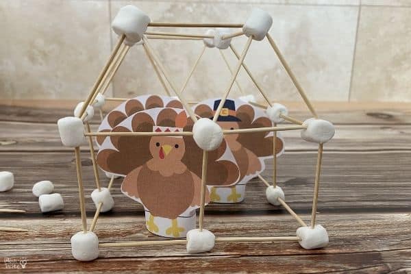 how to catch a turkey stem
