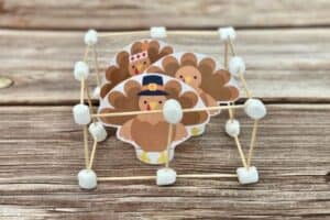 Thanksgiving Turkey Cage STEM Challenge - Mombrite