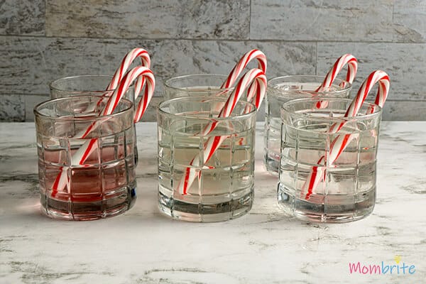 6 cups water 6 candy canes