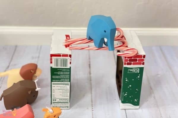 Candy Cane Bridge Challenge (2)