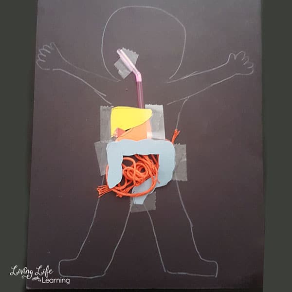 Digestive System Craft