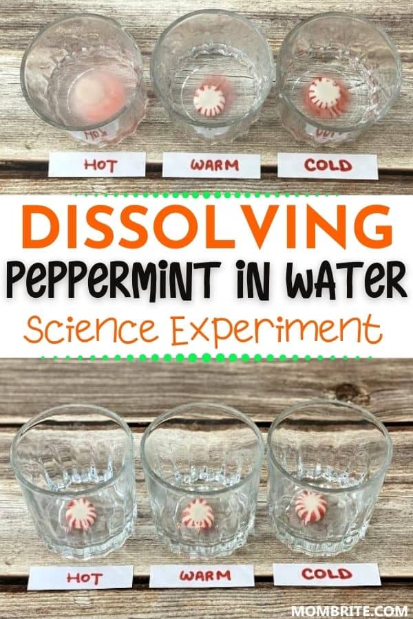 Dissolving Peppermint in Water Experiment Pin