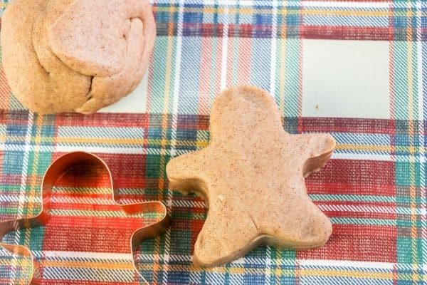 Gingerbread Playdough (1)