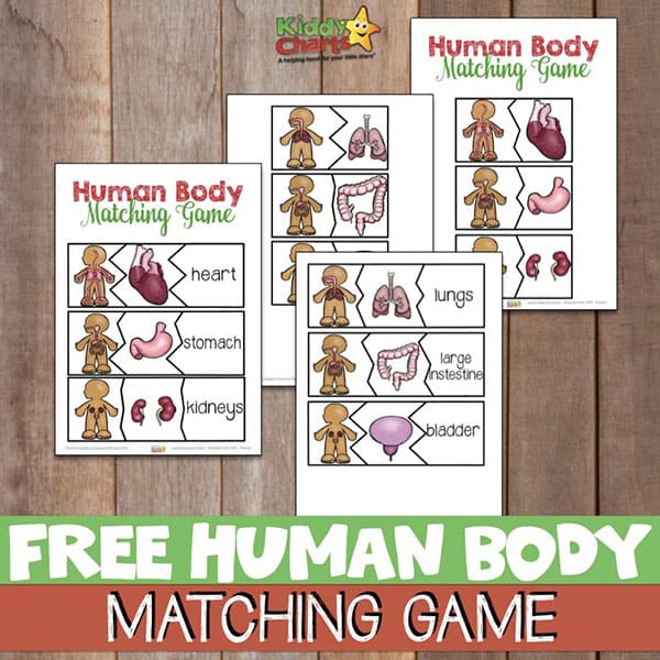 Human Body Matching Game