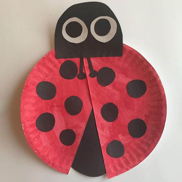 Ladybug Craft