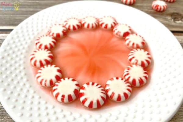 Peppermint Candy Water Science 5