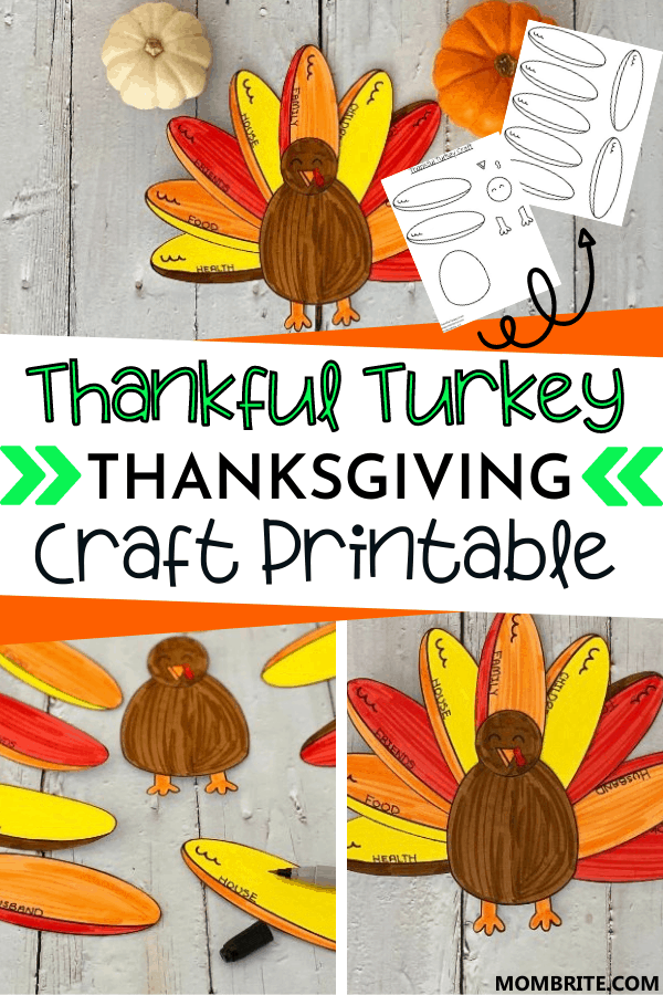 Thankful Turkey Craft Pin