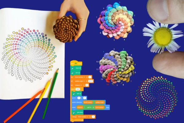 Beautiful Discovery Box