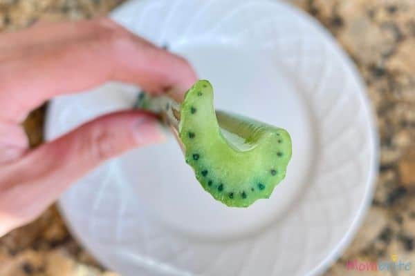 Celery Experiment Inner Tubes