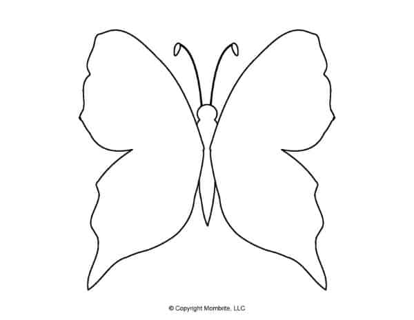 butterfly-outline-template