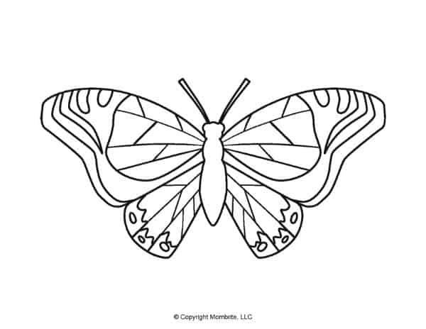 Free Printable Butterfly Template 5