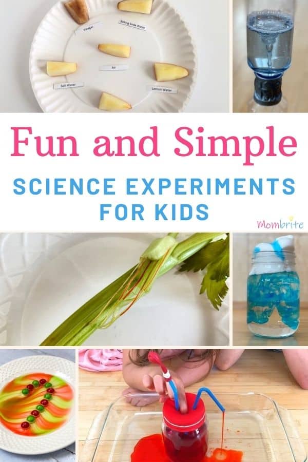 Fun and Simple Science Experiments for Kids Pin