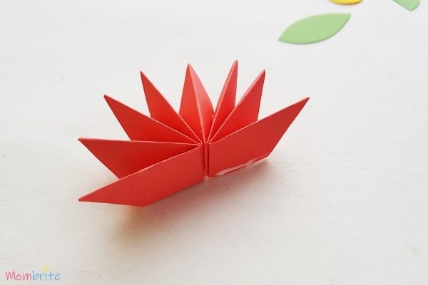 Paper Flower Craft Flower Petals 2