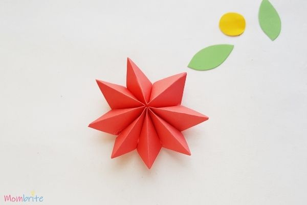 Paper Flower Craft Flower Petals 3