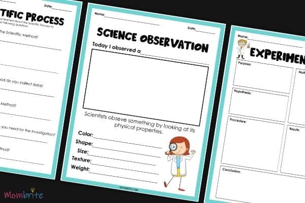 Scientific Method for Kids Observation Worksheet