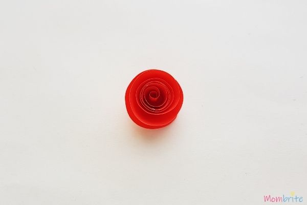 Spiral Pattern Paper Rose 5