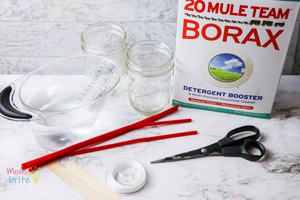 Supplies to grow borax crystals