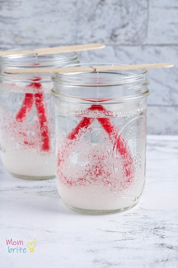 borax powder into Jar