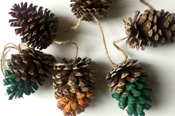 10-24 Decoration Pinecones, Small Pinecones for Crafting, Meduim Pinecones,  Large Pinecones, Crafting Pinecones, Fairy Garden, Diy Foraging 