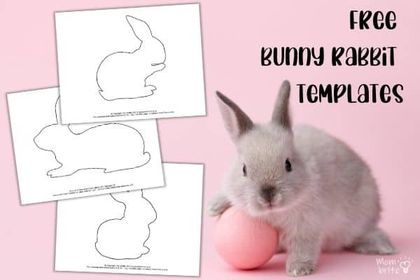 Bunny Rabbit Templates