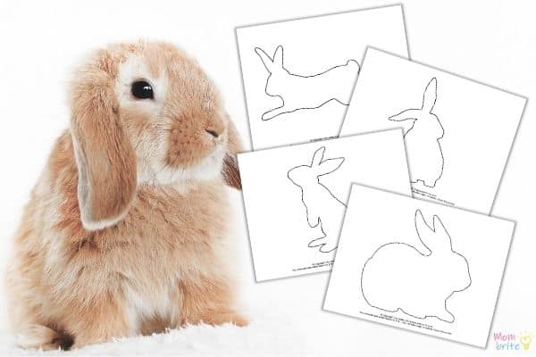 Bunny Rabbit Templates Mockup