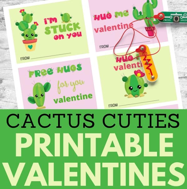 Cactus Valentine Cards