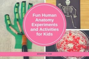 Human Body Activities for Kids