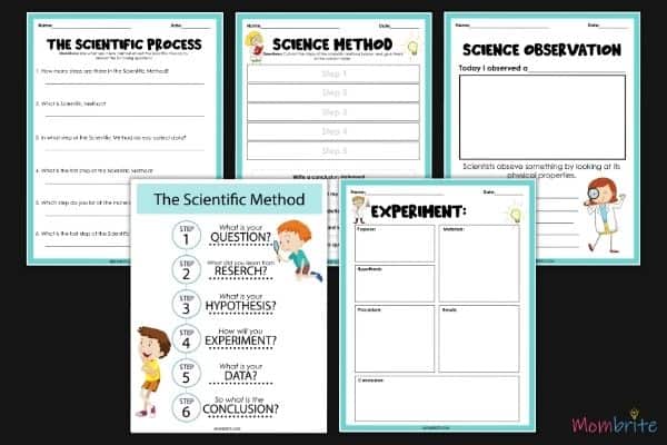 Scientific Method for Kids Worksheet