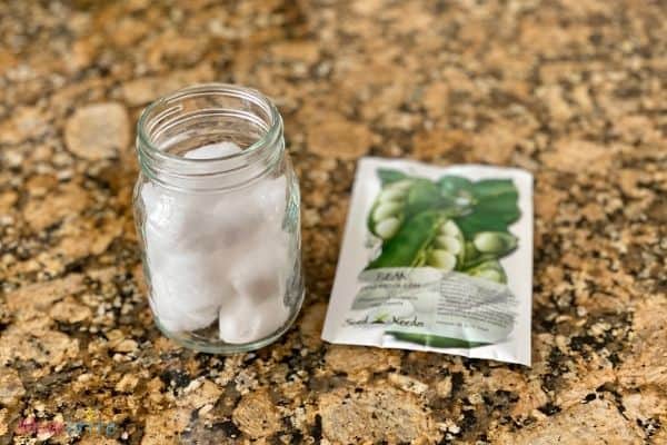 Growing Seeds in Cotton Balls in Jar