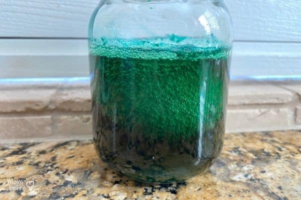 Green Naked Eggs and Ham Bubbles in Vinegar